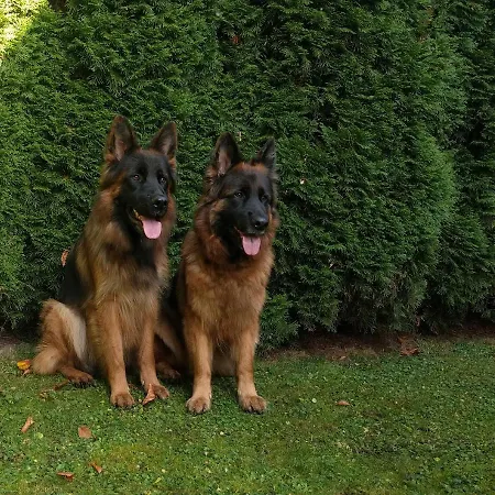 בית אירוח Rowerowyfun *