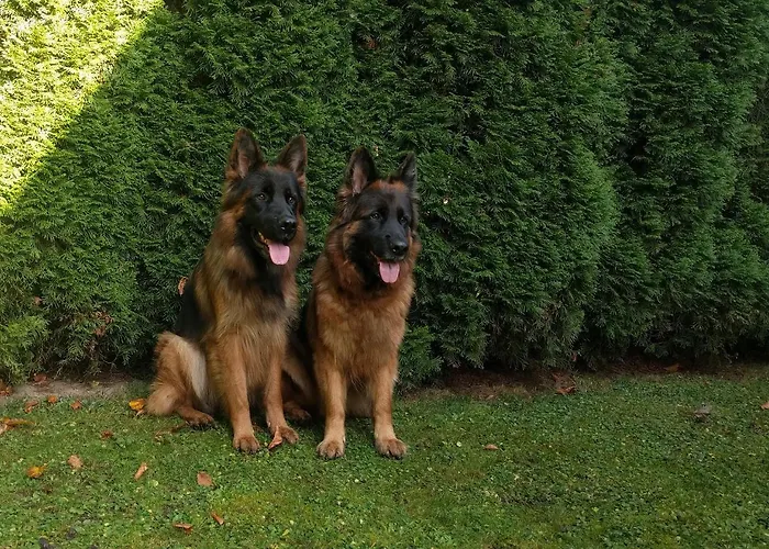 בית אירוח Rowerowyfun *